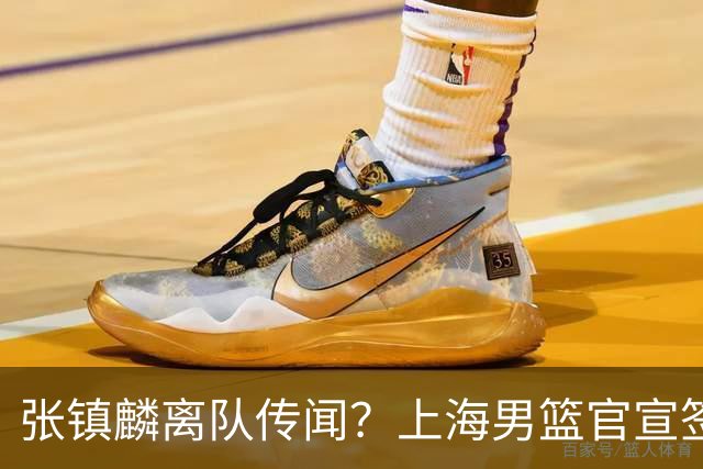 张镇麟离队传闻？上海男篮官宣签约三人，顶薪合同与未来规划
