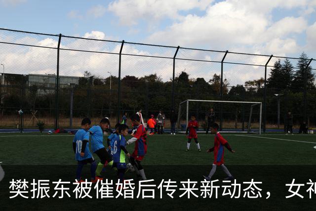 樊振东被催婚后传来新动态，女神身价超20亿美元，难怪拒绝百万带薪假