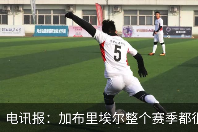 电讯报：加布里埃尔整个赛季都很强大，让他承受如此命运实在残酷