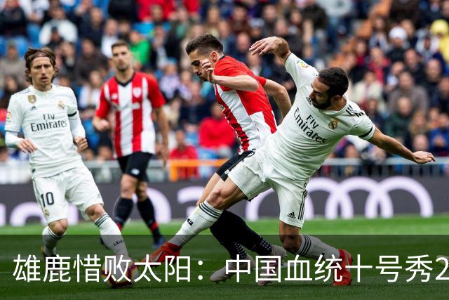 雄鹿惜败太阳：中国血统十号秀23+8+6 杨瀚森好友21+10+4帽